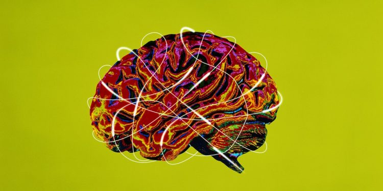 Cientistas identificam área do cérebro que se degrada com Alzheimer