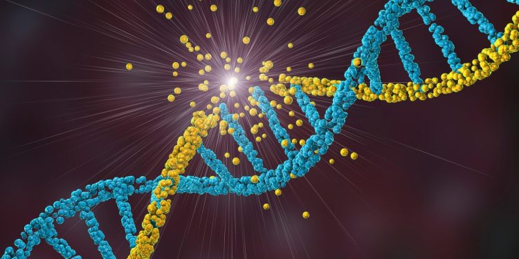 Cientistas identificam nova doença genética rara que afeta os músculos