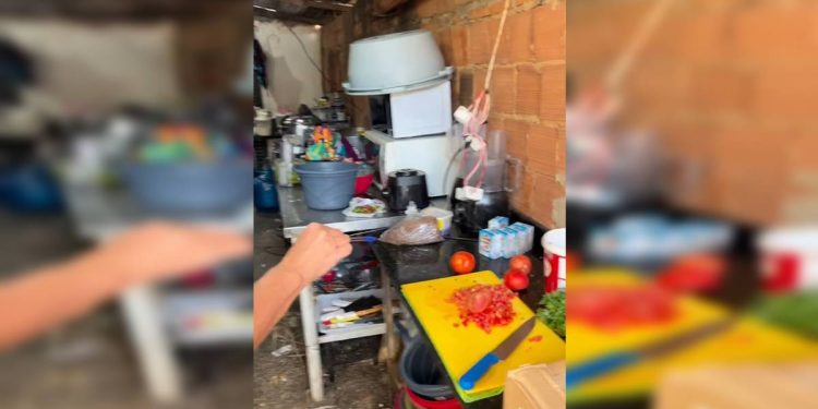Vídeo mostra fábrica de salgados infestada de baratas e moscas