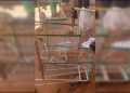 PM recupera 30 carrinhos de compras usados em furtos de cabos