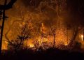 Após chuva, combate a incêndio na Chapada dos Veadeiros chega ao fim