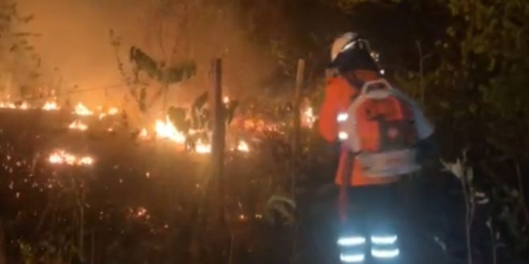 Incêndio na Chapada já passa de uma semana; CBMGO intensifica combate