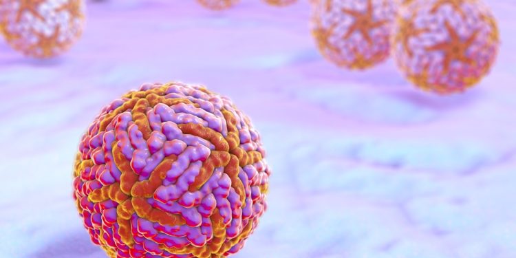 Fiocruz relata caso raro de encefalite associada à infecção pelo zika