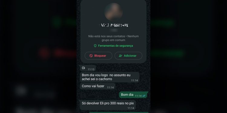 Golpista pediu R$ 800 para entregar cachorro desaparecido no DF