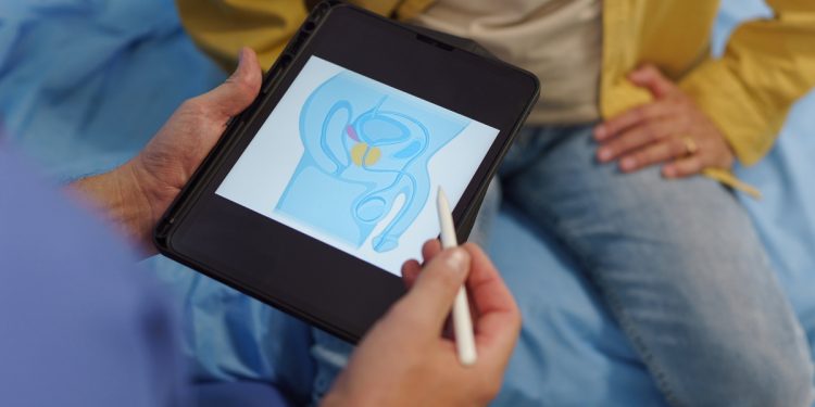 Entenda o que o tamanho da próstata pode indicar para a saúde