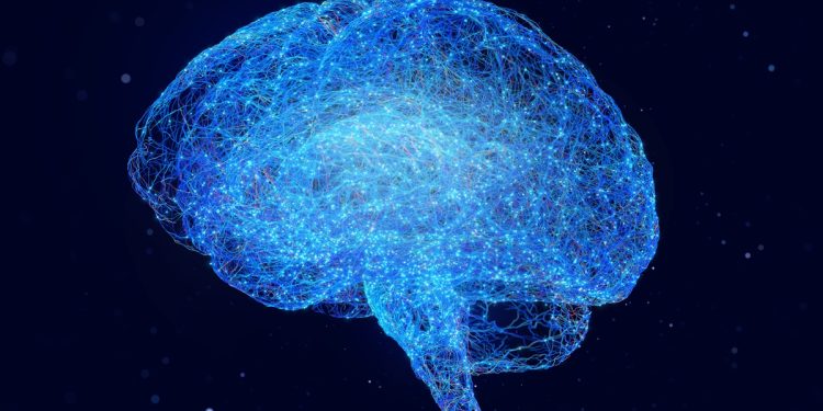 Colesterol tem papel decisivo na saúde cerebral, mostram estudos