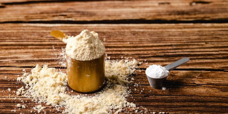 Whey ou albumina? Entenda as diferenças entre os suplementos