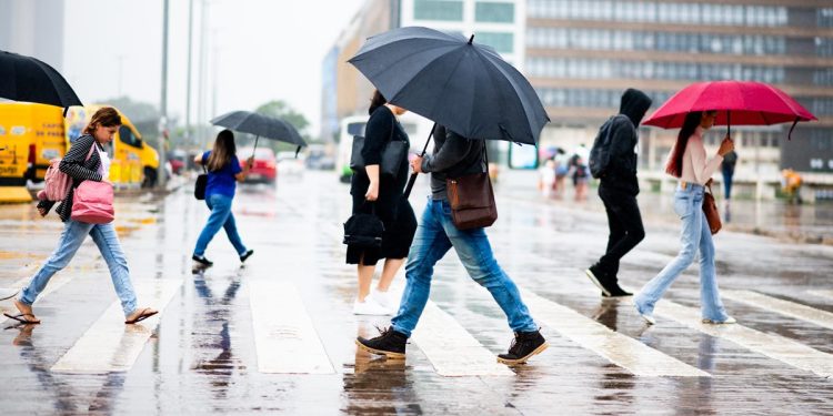 Alerta amarelo: semana começa previsão de chuvas intensas no DF