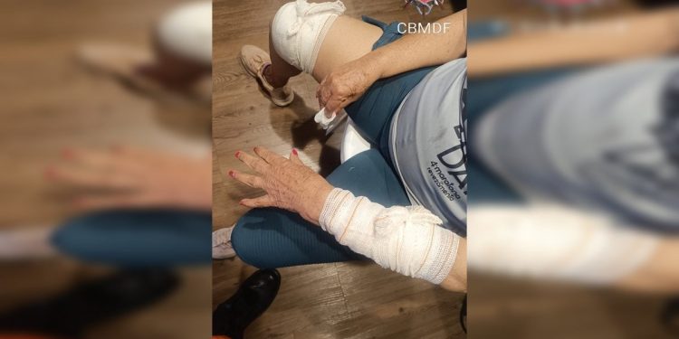 Idosa é atacada por cães e fica ferida no DF