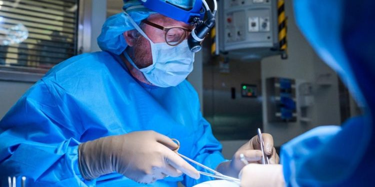 Transplantes: médicos acham meio para burlar rejeição a rim de porco