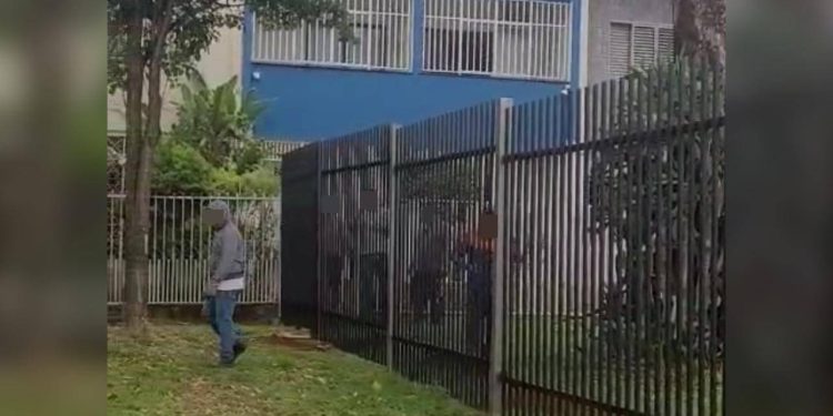 Moradores cercam área verde na Asa Sul e DF Legal faz derrubada