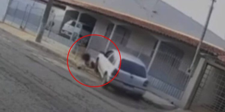 Imagens fortes: mulher é perseguida e atropelada pelo ex-marido