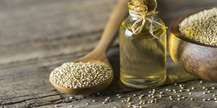 Ouro líquido: os “novos óleos” que se destacam pela ação antioxidante