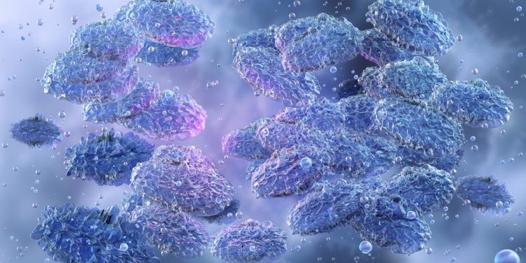 Doenças da Idade Média continuam a circular e fazer vítimas