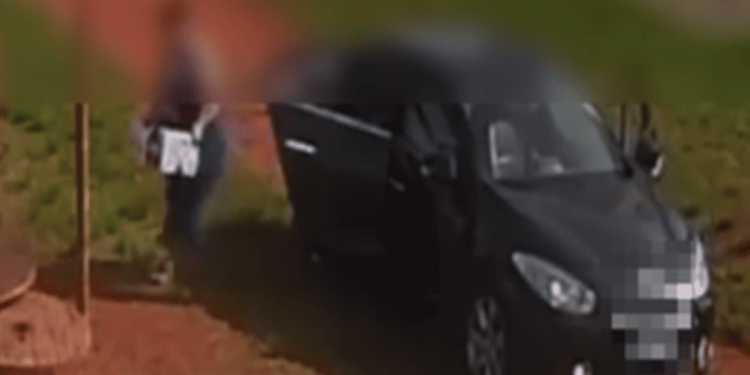 Vídeo revoltante mostra mulher abandonando cadela e filhotes na chuva