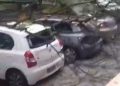 Após temporal, carros estacionados na Asa Sul são atingidos por árvore