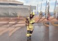 Bombeiros salvam cinco filhotes durante incêndio em depósito