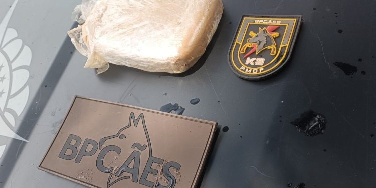 Cadela Glock acha “tijolo” de crack dentro de mochila abandonada no DF