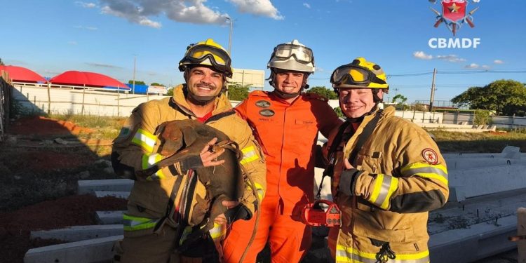 Cachorro cai em buraco de 10 metros e é salvo pelo Corpo de Bombeiros