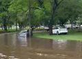 Temporal em Brasília causa alagamento e queda de árvore na Asa Sul