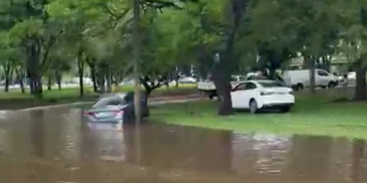 Temporal em Brasília causa alagamento e queda de árvore na Asa Sul