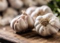 Alho mostra potencial como alternativa natural em enxaguantes bucais