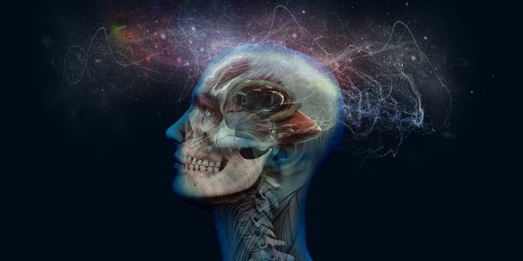 Cientistas descobrem pista de como reverter a ansiedade em novo estudo