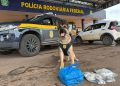 Cão farejador acha maconha, haxixe e LSD dentro de carro no Entorno