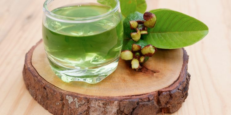 Chá de folha de goiaba: saiba quais são os benefícios e como fazer