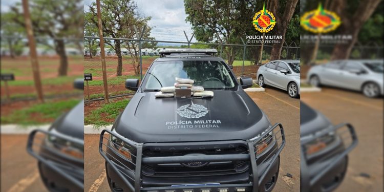 Cadela policial da PM fareja droga em mala na Rodoviária Interestadual