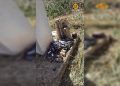 Material explosivo deixado embaixo de passarela é detonado pela PMDF