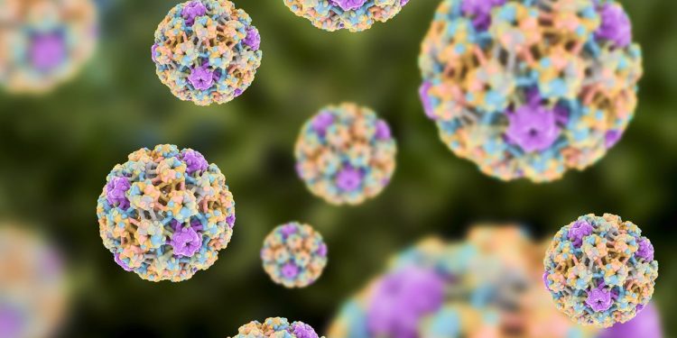 HPV: urologista explica como a doença se manifesta nos homens