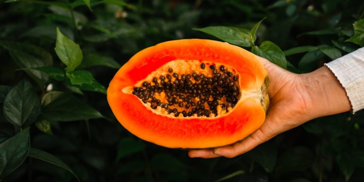 Nutricionista revela se é saudável comer mamão todos os dias