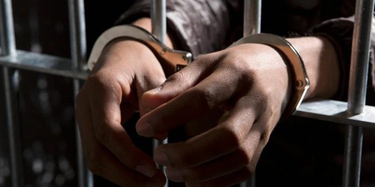 Como a Lei Maria da Penha pôs fim à fuga mais longa da história do DF