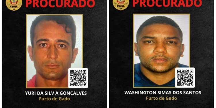 Ladrões de gado escapam de cerco policial e são procurados no DF