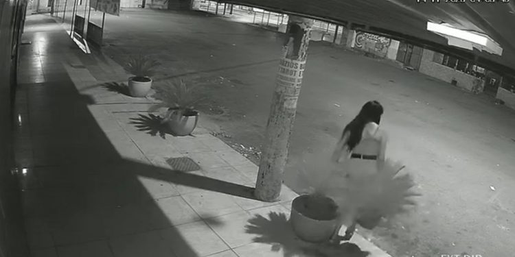 Dono de bar no DF revela prejuízo após travesti surrupiar plantas