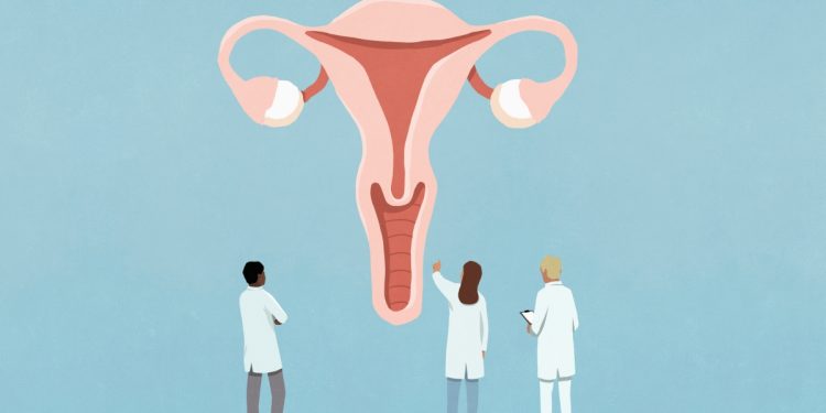 OMS divulga primeira diretriz global para ampliar cuidados da infertilidade