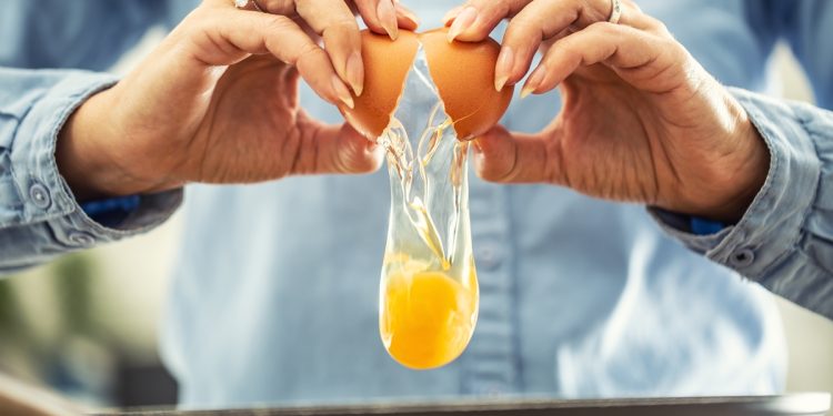 Vilão ou aliado? Saiba quais são os benefícios do ovo para os músculos