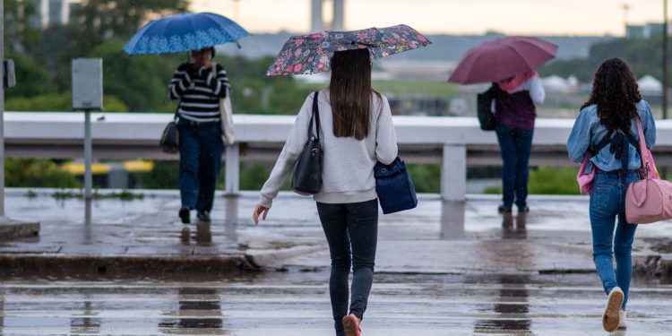 DF tem alerta de temporal nesta quarta (3/12). Veja a previsão