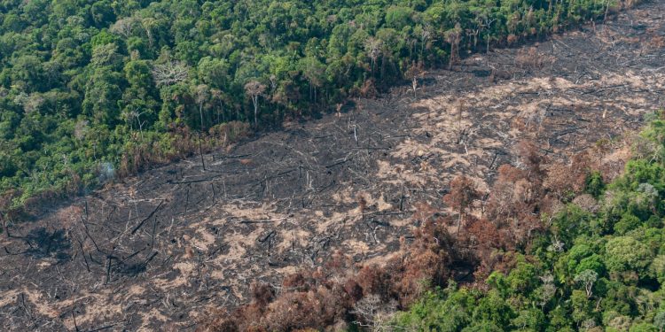 Governo consegue aprovar Plano Clima após diluir responsabilidade do agro