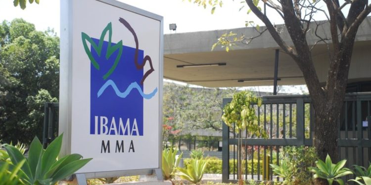 DF: Ibama e Incra têm 52 vagas temporárias com salários até R$ 9,8 mil