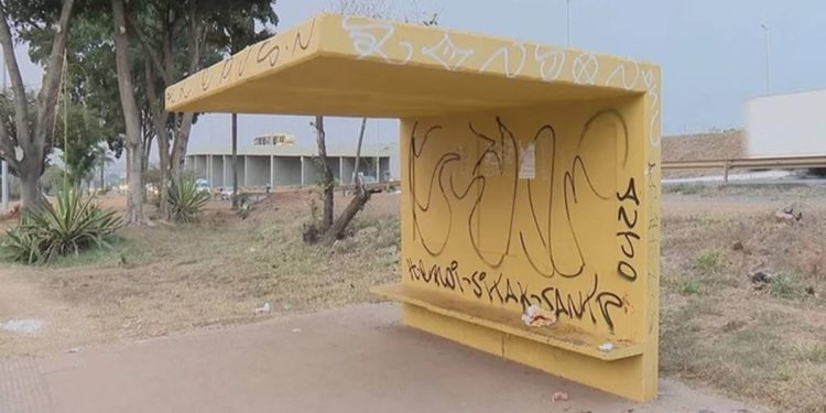 Projeto em Ceilândia revitaliza paradas de ônibus e promove oficina