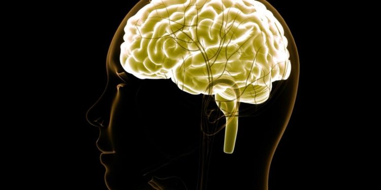 Especialistas explicam diferenças entre AVC isquêmico e hemorrágico