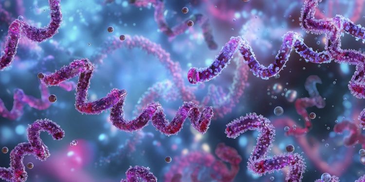 Sífilis segue em alta no Brasil, apesar de ter prevenção simples