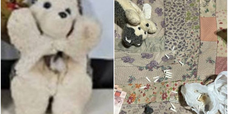 Bom dia PCDF: casal de traficantes usou urso de pelúcia para ocultar pó