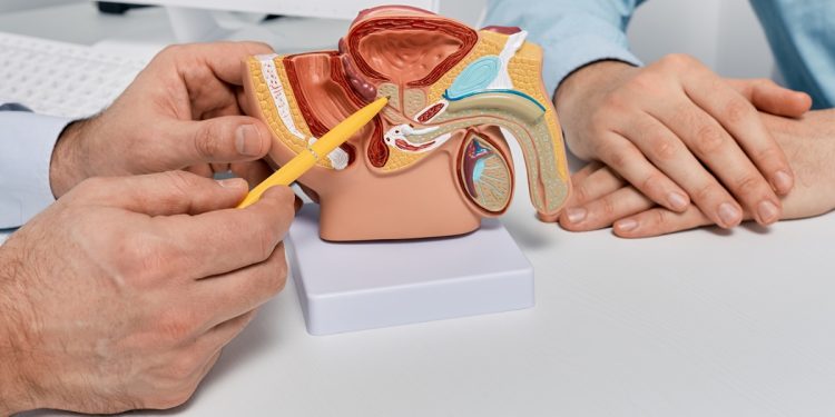 Disfunção erétil é revertida em 9 de 10 casos com “viagra eletrônico”