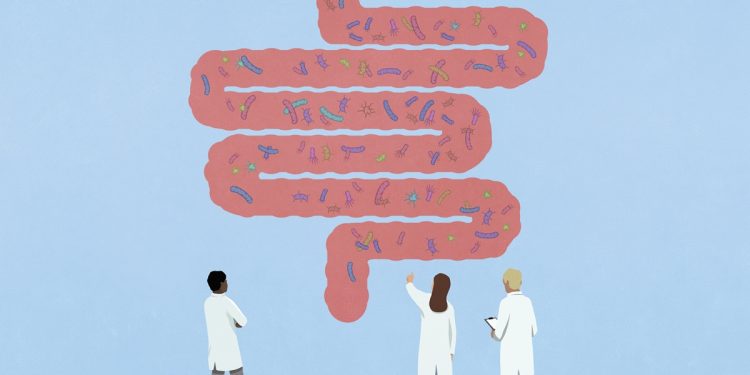Cientistas criam ranking de bactérias intestinais que ajudam a saúde