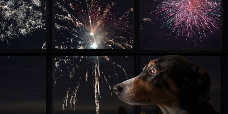 No DF, soltar fogos com ruído alto é crime; saiba como denunciar