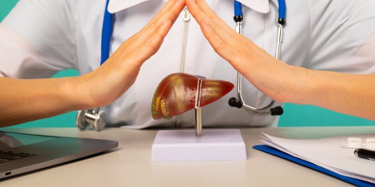 Nem álcool, nem hepatite: saiba o que aumentou as doenças do fígado