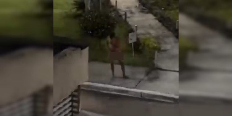 “Peladão misterioso” é visto novamente usando apenas balaclava no DF